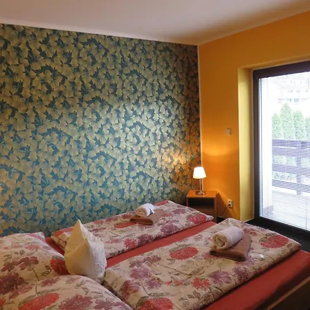 Pension Aura Spicak, Nektere Pokoje Se Saunou Železná Ruda Exterior foto