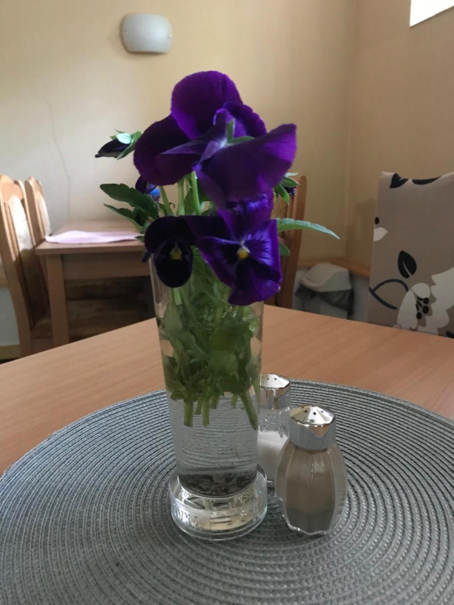 Aura Spicak, Nektere Se Saunou Guest house *