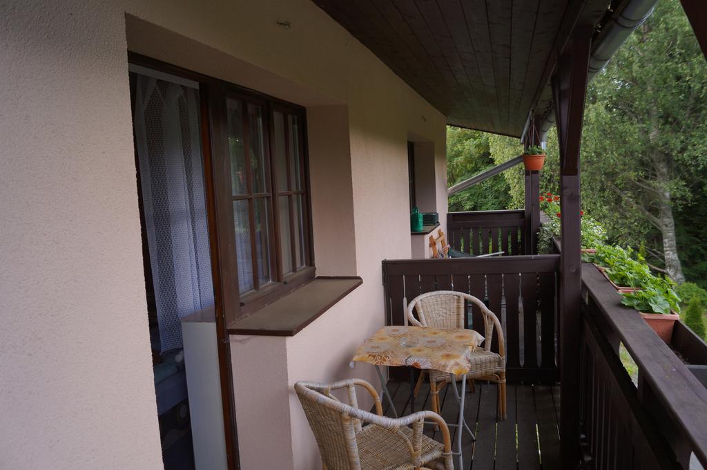 Guest house Aura Spicak, Nektere Se Saunou Zelezna Ruda